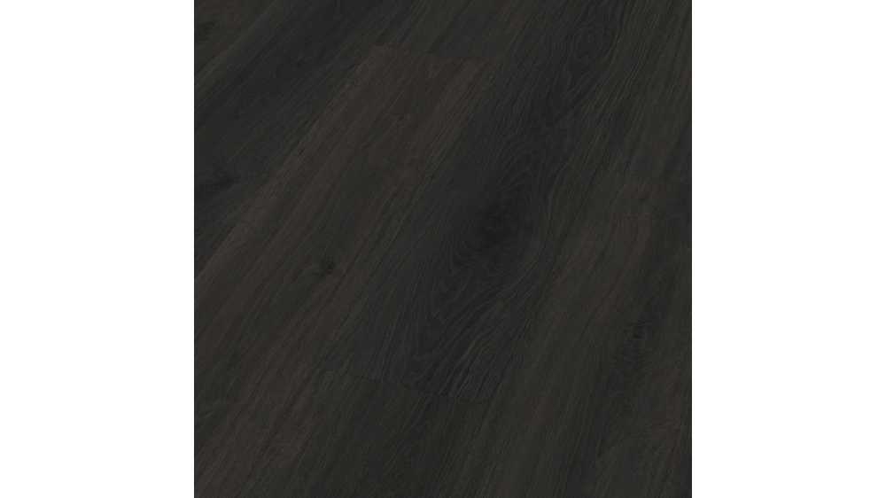 Oak blackmoreyn IPL55