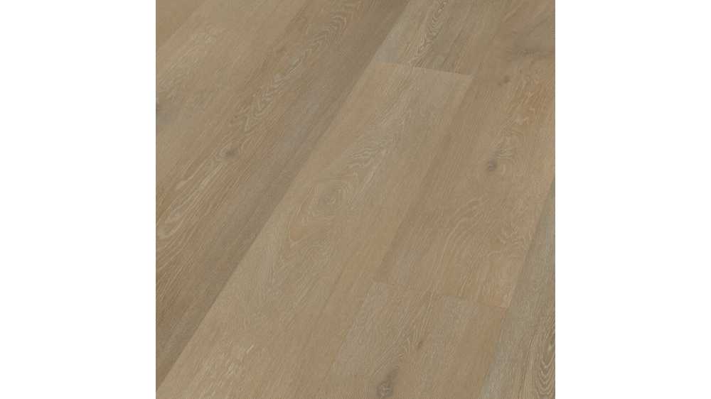 Oak florenceti IPL55