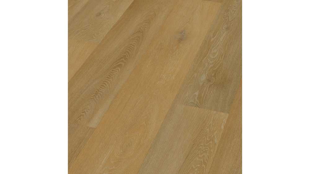 Oak marselan PL55